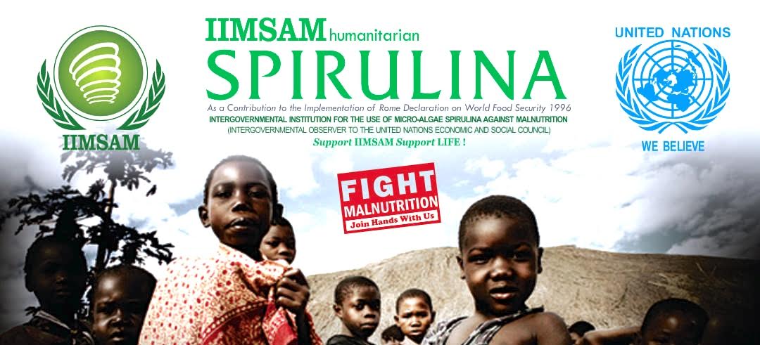 IIMSAM