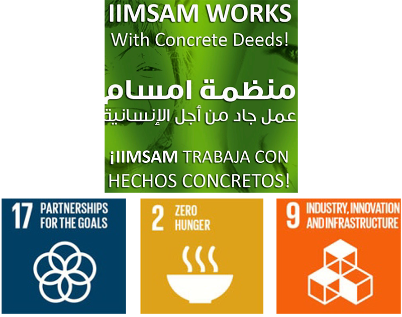 IIMSAM Official Strategic  Partners