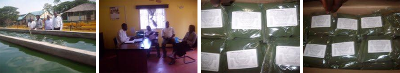 Photos from IIMSAM Relief Efforts in Congo