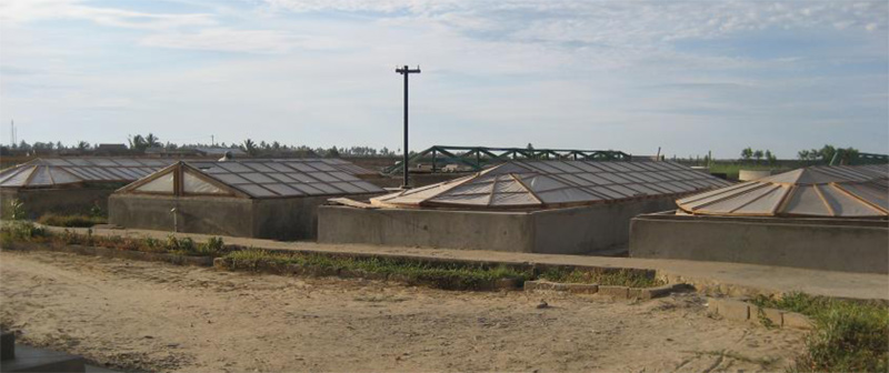 spirulina farm Morondava in Madagascar Menabe