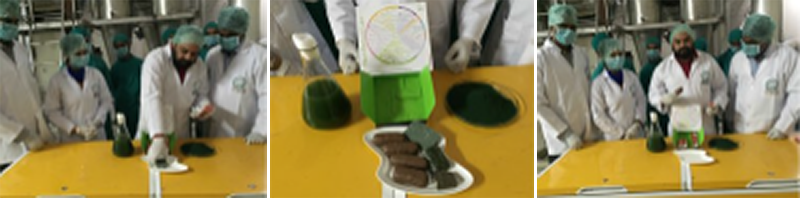 The Making of the IIMSAM Spirulina Nutritional Super Bar